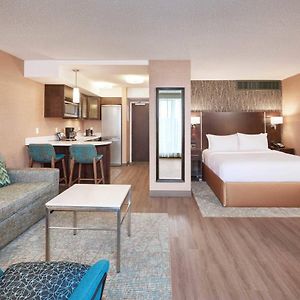 Studio Suite 1 Queen Bed 1 Sofa Bed